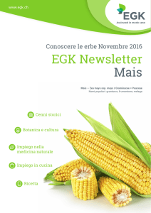 EGK Newsletter Mais