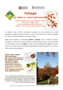 Foliage - Museo Regionale di Scienze Naturali