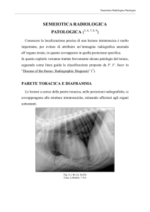 Semeiotica Radiologica Patologica - Area
