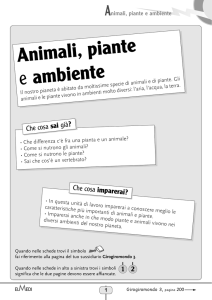 Animali,piante e ambiente