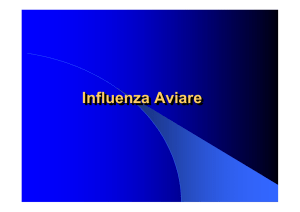 INFLUENZA AVIARE_stampa - Progetto e