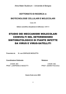 studio dei meccanismi molecolari coinvolti nel determinismo