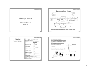 Fisiologia Umana La percezione visiva Valori di Luminanza