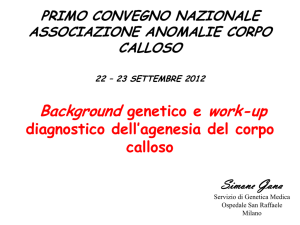 Diapositiva 1 - Associazione Assacci