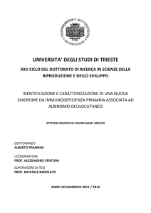 Tesi Dottorato