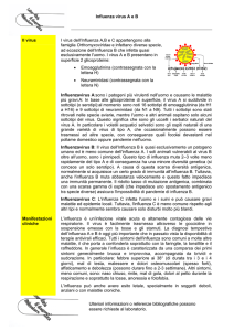 Influenza virus A e B Ulteriori informazioni o referenze bibliografiche