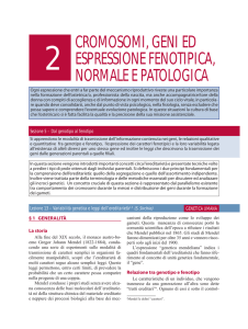 cromosomi, geni ed espressione fenotipica