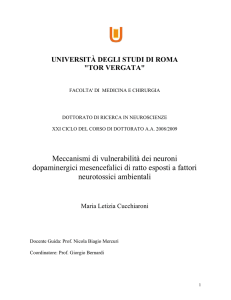 Meccanismi di vulnerabilità dei neuroni dopaminergici