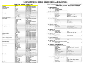 schema sintetico