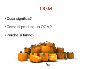 OGM 2 - Liceo Malpighi
