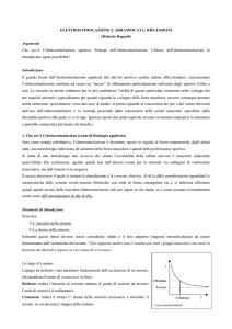 Elettrostimolazione e arrampicata sportiva