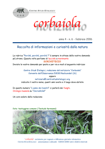 CorbaiolaNotiz6 - informazioni e curiosità dalla natura