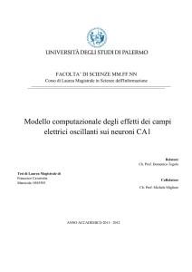 Modello computazionale degli effetti dei campi elettrici