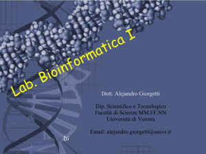 Diapositiva 1 - University of Verona