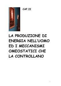 la produzione di energia nell`uomo ed i meccanismi omeostatici che