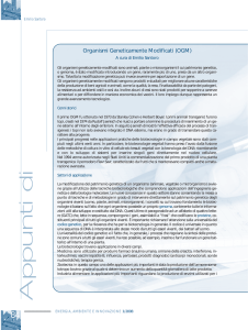 Organismi Geneticamente Modificati (OGM) - ENEA
