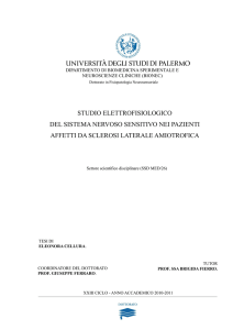 studio elettrofisiologico del sistema nervoso sensitivo