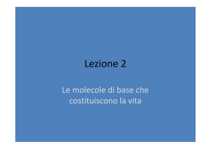 2_Molecole di base