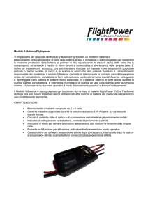 Modulo V-Balance Flightpower Vi ringraziamo per l`acquisto