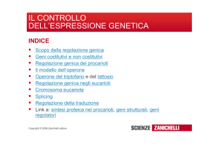 il controllo dell`espressione genetica