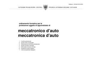 meccatronico d`auto/meccatronica d`auto