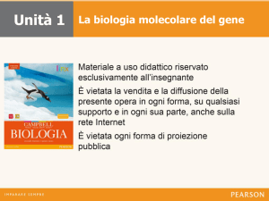 La biologia molecolare del gene