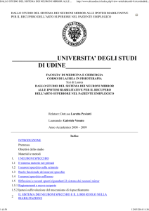 Tesi di Laurea