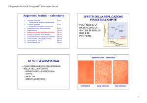 02 virus ospite vacc..