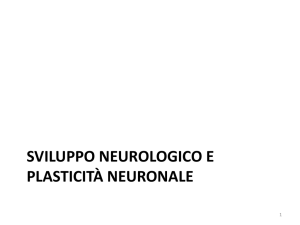 Biologia del neurone - Centro di formazione ASLTO4