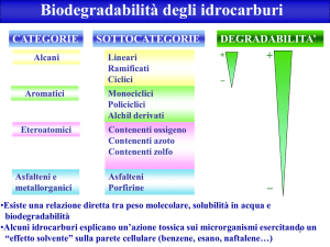 Biodegradabilità degli idrocarburi
