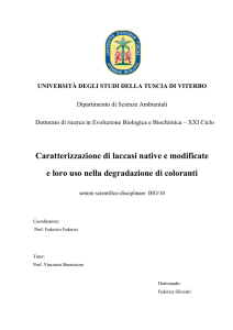 Tesi Dottorato - Unitus DSpace