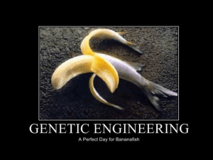 Ingegneria genetica