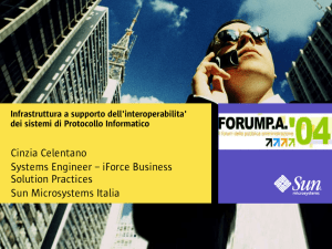 Cinzia Celentano Systems Engineer – iForce Business Solution