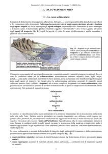 1 - IL CICLO SEDIMENTARIO 1.1 - Le rocce