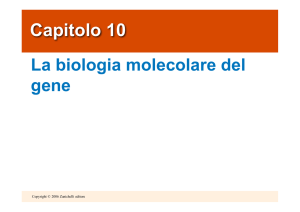 La duplicazione del DNA