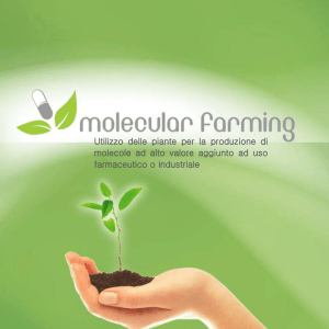Utilizzo delle piante per la produzione di molecole ad alto valore
