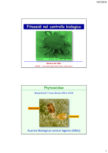 Fitoseidi nel controllo biologico - Aipp, Associazione italiana per la