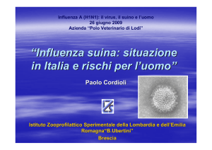 Influenza suina: situazione in Italia e rischi per l`uomo