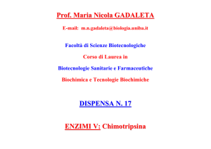 Prof. Maria Nicola GADALETA DISPENSA N. 17 ENZIMI V