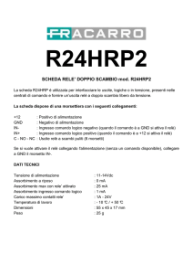 SCHEDA RELE` DOPPIO SCAMBIO mod. R24HRP2