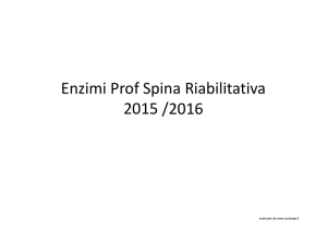 Enzimi-Prof-Spina-Riabilitativa-2015-modalitÃ