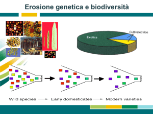 Erosione genetica e biodiversità
