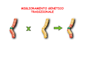 lezione 2 Agrobacterium - Università degli Studi di Roma "Tor Vergata"