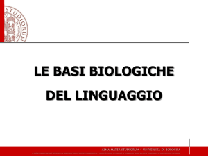 le basi biologiche del linguaggio