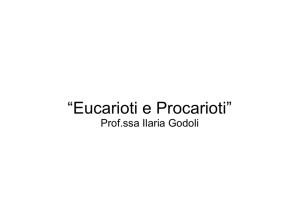 “Eucarioti e Procarioti”