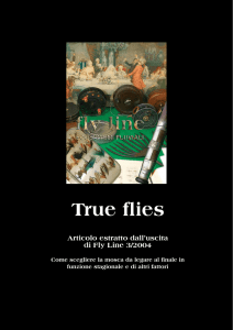 True flies - Mosca Club Treviso