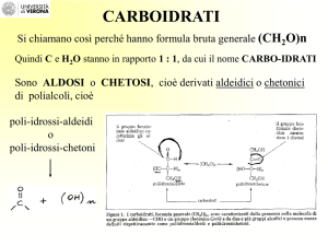 Lezione 4 - Chimica Macromolecole - G. Gotte 14-2