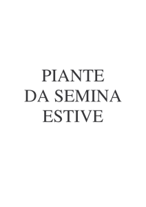 piante annuali estive