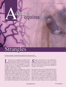 Adenite equina Strangles