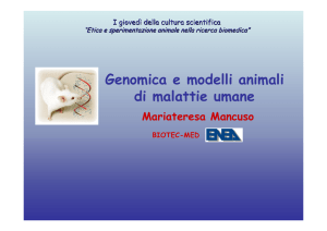 Diapositiva 1 - ENEA (Bologna)